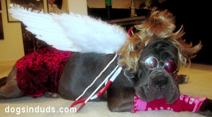 Dog Cupid Costume